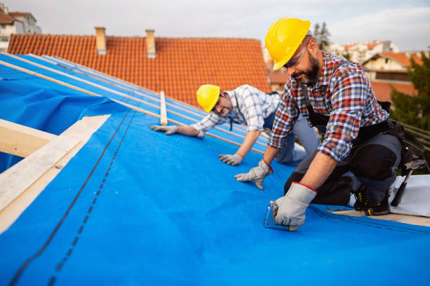 Best Gutter Installation and Roofing  in Jacobus, PA